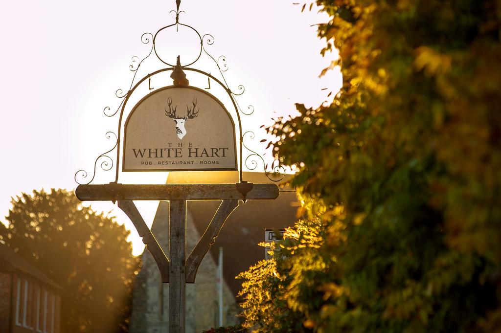 The White Hart, South Harting Locanda Petersfield